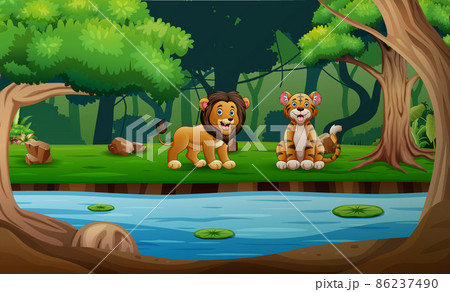 Cute a tiger and lion enjoying by the river 86237490