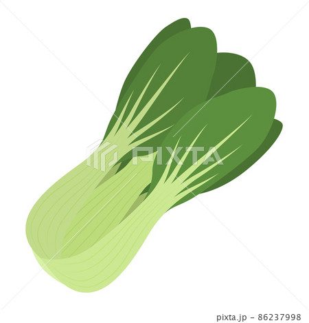 チンゲン菜のイラスト 86237998