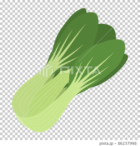 チンゲン菜のイラスト 86237998