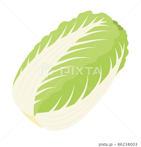 白菜のイラスト 86238003