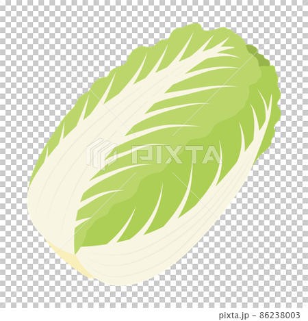 白菜のイラスト 86238003
