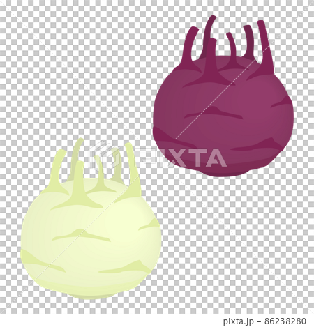 コールラビのイラスト コールラビのイラスト 86238280