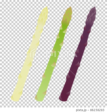 アスパラガスのイラスト 86238283