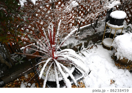 雪が降った日の景色 雪が降った日の景色 86238459