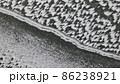冬の諏訪湖 86238921