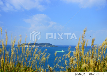 冬の六連島 86239883