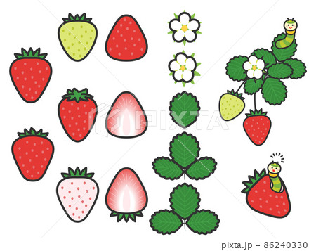 果物イラスト バラエティセット いちごのイラスト素材