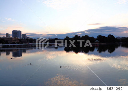夜明けの大濠公園 86240994