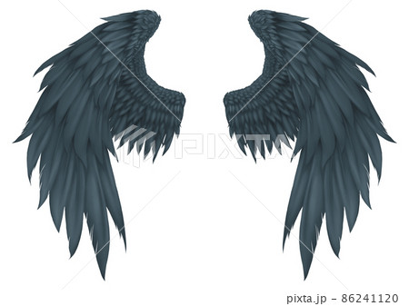 黒い翼 悪魔 堕天使のイラスト素材