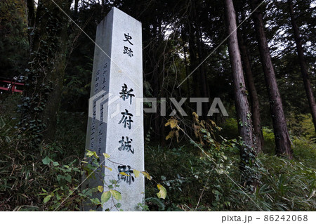 新府城 86242068