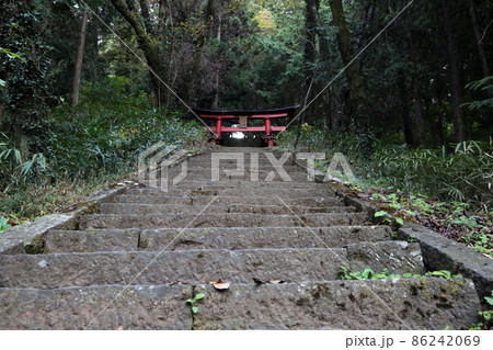 新府城 86242069