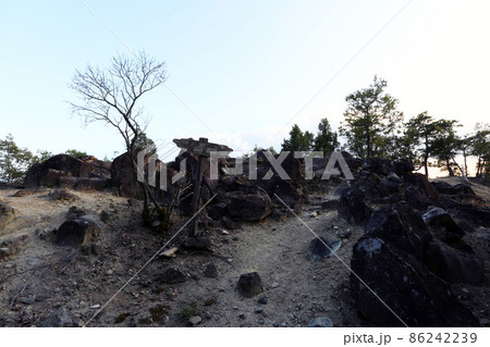 感状山城 86242239