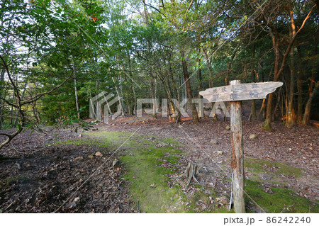 感状山城 86242240