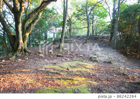感状山城 感状山城 86242264