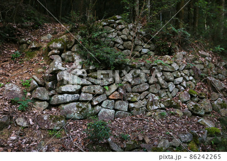 感状山城 86242265