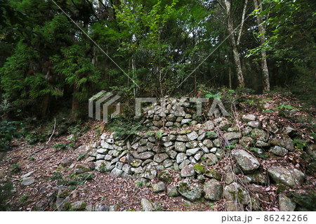 感状山城 感状山城 86242266