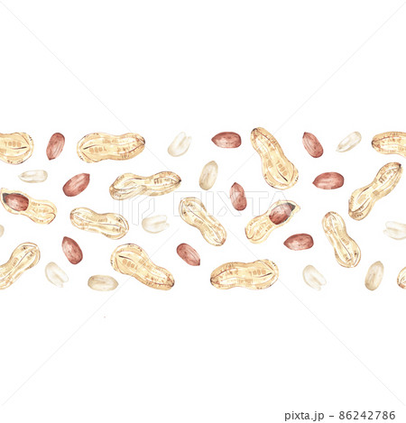 Seamless border with peanuts on white. Edible raw groundnuts. Hand drawn watercolor illustration of organic grain for packaging design, label, banner 86242786