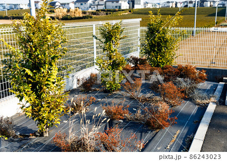 植え込みの雑草対策 防草シート 植え込みの雑草対策 防草シート 86243023