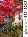二尊院の紅葉 86243205