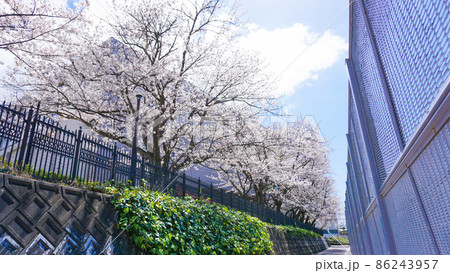 学校や部活、青春の夏空 登校 86243957