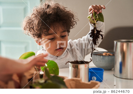 Little curly boy holding plant at his hands while helping to his mother replacing flowers Little curly boy holding plant at his hands while helping to his mother replacing flowers 86244670
