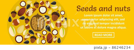Seeds and nuts banner horizontal concept Seeds and nuts banner horizontal concept 86246234