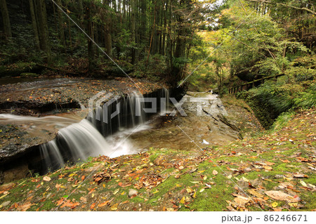 愛媛県東温市　秋の滑川渓谷 86246671