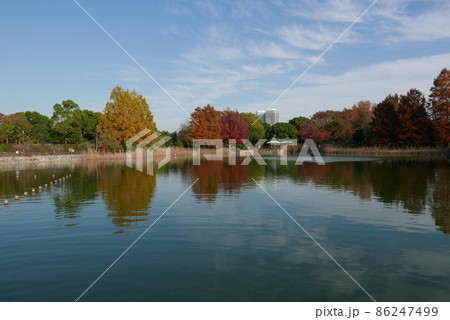絵画のような風景、千葉県柏市柏の葉公園 86247499