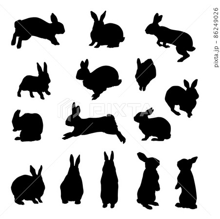 ウサギイラスト素材 シルエットのイラスト素材