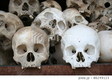 Human skulls in a Killing Fields memorial 86249123