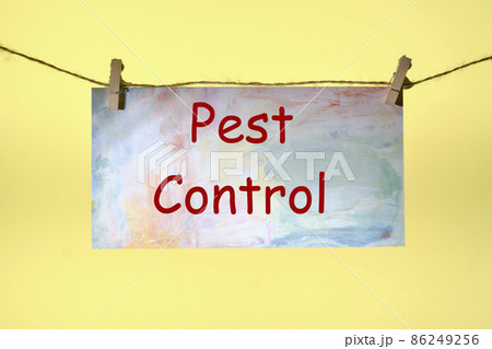 PEST CONTROL text written on paper suspended from a rope on a yellow background ,business idea PEST CONTROL text written on paper suspended from a rope on a yellow background ,business idea 86249256