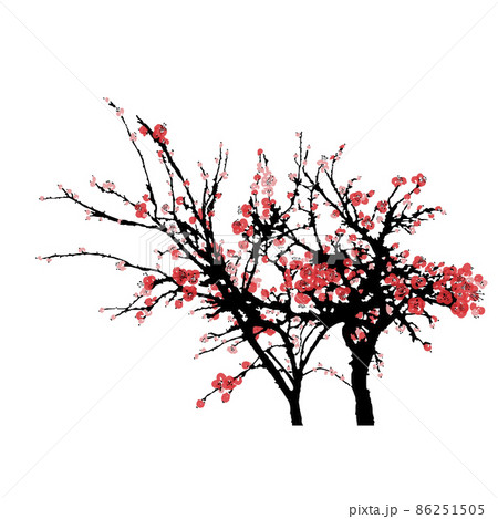Realistic sakura blossom isolated on white background. Japanese cherry tree vector illustration. Vector Realistic sakura blossom isolated on white background. Japanese cherry tree vector illustration. Vector 86251505
