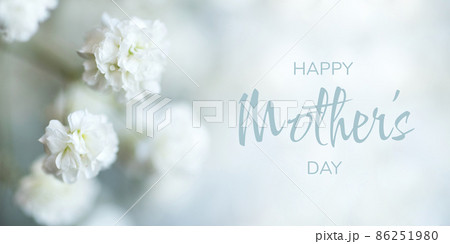 White flowers of the gypsophila. Mother's Day Concept. Gentle spring background. Soft focus. White flowers of the gypsophila. Mother's Day Concept. Gentle spring background. Soft focus. 86251980