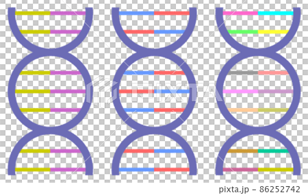 遺伝子のDNAを図にした螺旋状のイラスト 遺伝子のDNAを図にした螺旋状のイラスト 86252742