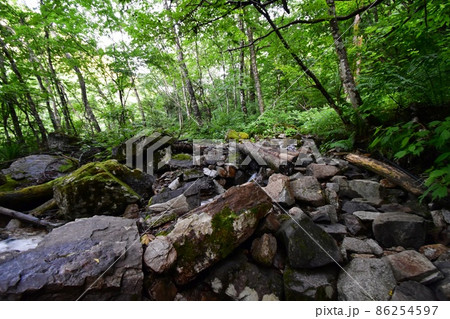早朝の一ノ沢登山口　常念岳に続く登山道に流れる沢 86254597