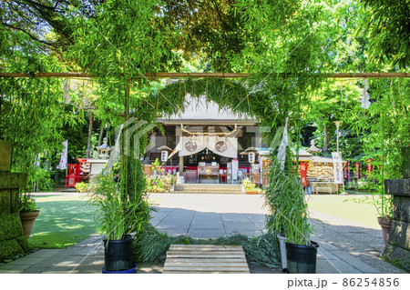 東京都 世田谷区 太子堂八幡神社 東京都 世田谷区 太子堂八幡神社 86254856