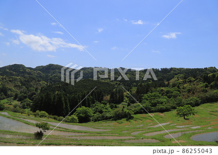 房総半島の大山千枚田 房総半島の大山千枚田 86255043