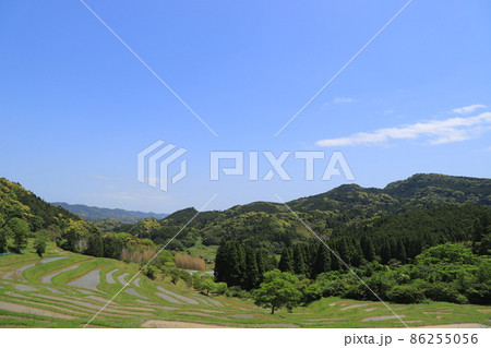 房総半島の大山千枚田 86255056