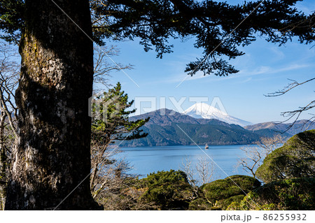 【神奈川】　神奈川県立恩賜箱根公園 86255932