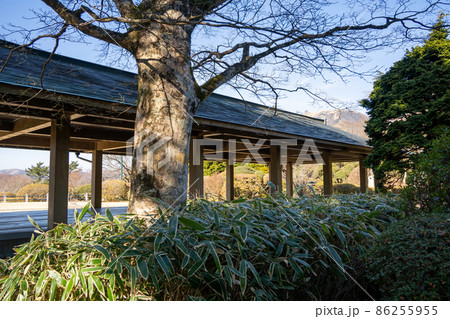 【神奈川】 神奈川県立恩賜箱根公園 【神奈川】 神奈川県立恩賜箱根公園 86255955