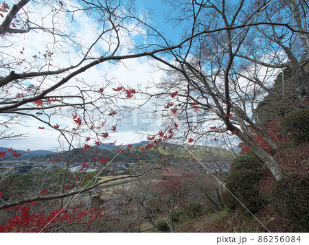 紅葉も散り初冬の佇まいの山 紅葉も散り初冬の佇まいの山 86256084