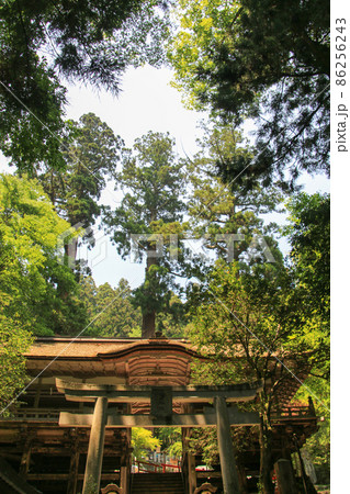 鞍馬寺 86256243