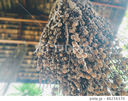 Nature garden or park decorated with natural wood Nature garden or park decorated with natural wood 86256370