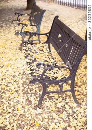 イチョウの葉とベンチ Autumn leaves イチョウの葉とベンチ Autumn leaves 86256836