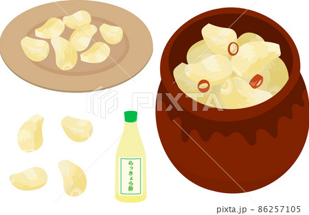 保存瓶とお皿に入ったラッキョウとラッキョウ酢のイラスト 86257105