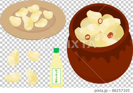保存瓶とお皿に入ったラッキョウとラッキョウ酢のイラスト 86257105