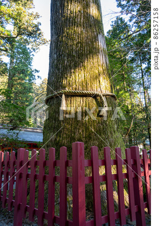 【神奈川】　箱根神社 86257158