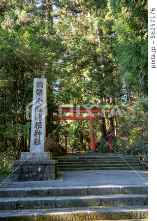 【神奈川】　箱根神社 86257176