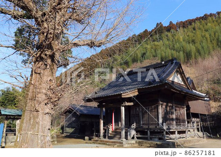 星野村 小野神社の本殿 星野村 小野神社の本殿 86257181