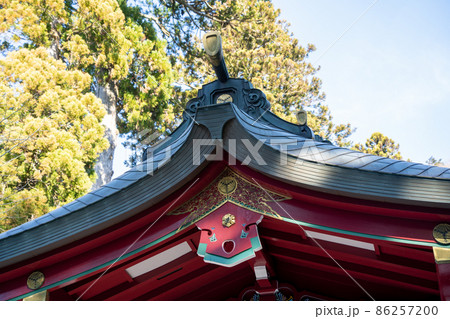 【神奈川】　箱根神社 86257200